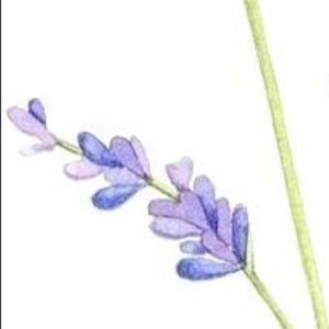 Meet your Posher, Fabiola